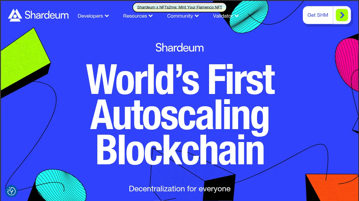 Shardeum interface